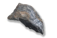 M 02830
<br/>
<br/>
<em></em>